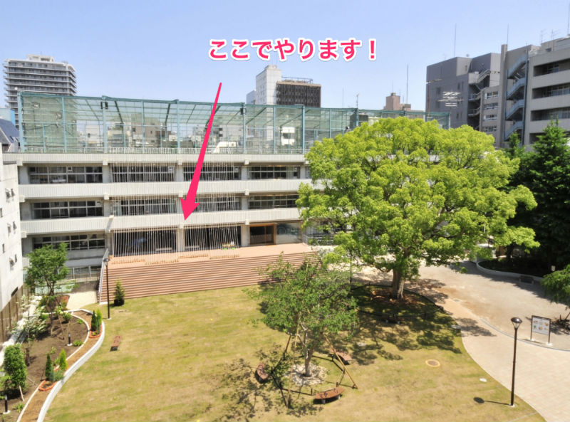 school-skyview