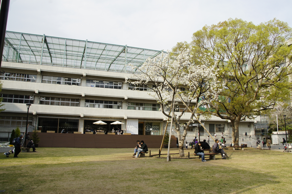 SONY DSC