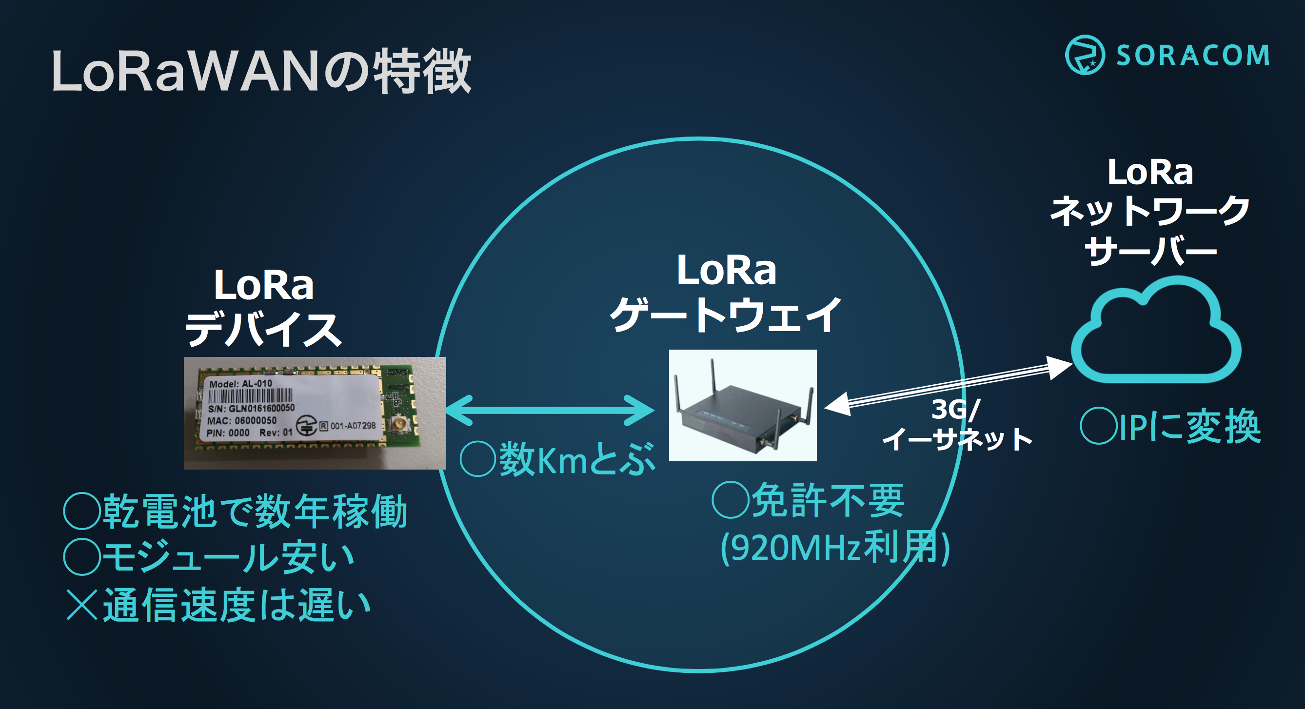lora01
