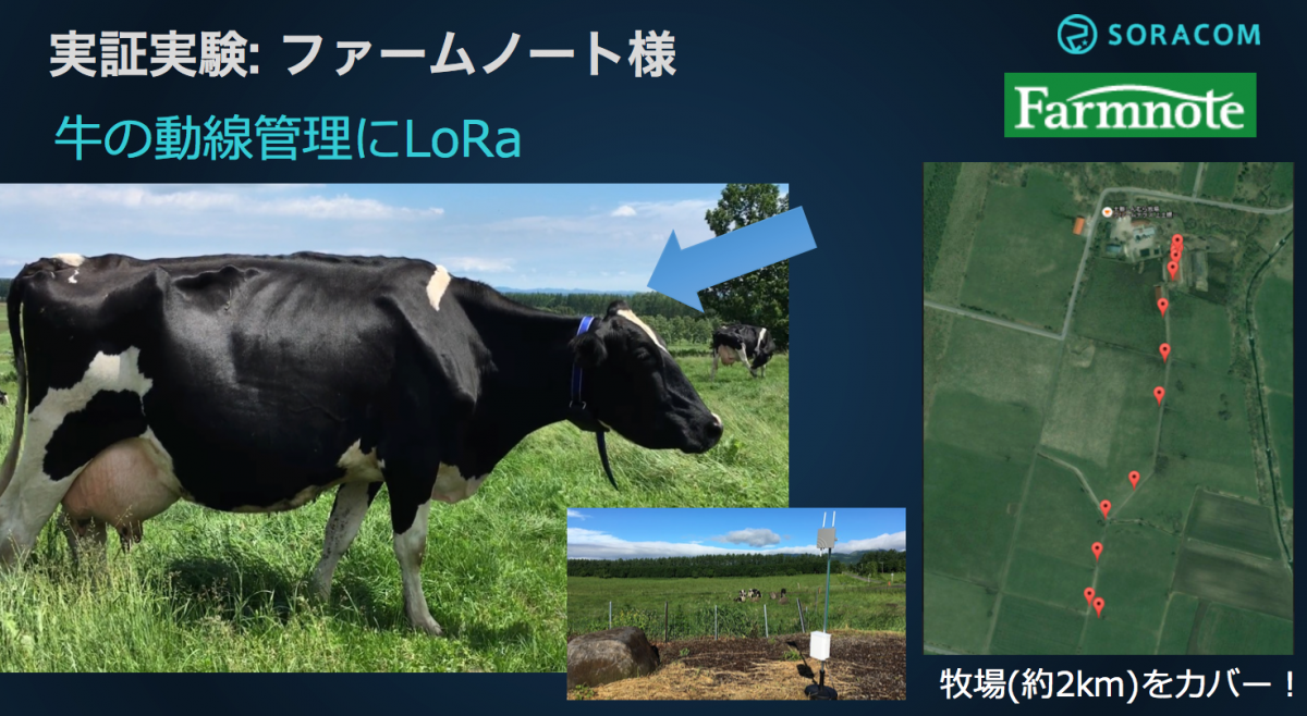 lora02