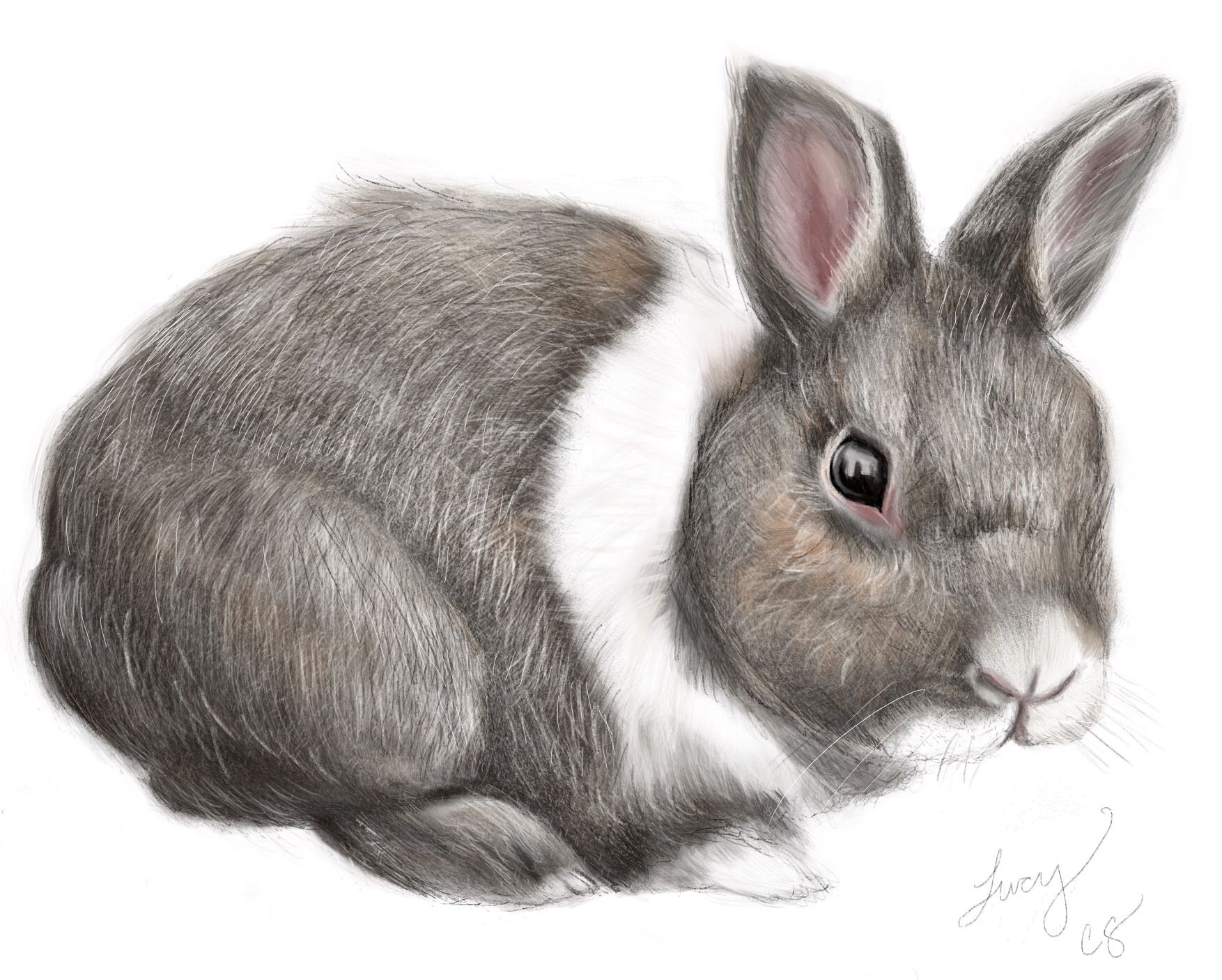 ProcreateアプリとApple Pencil