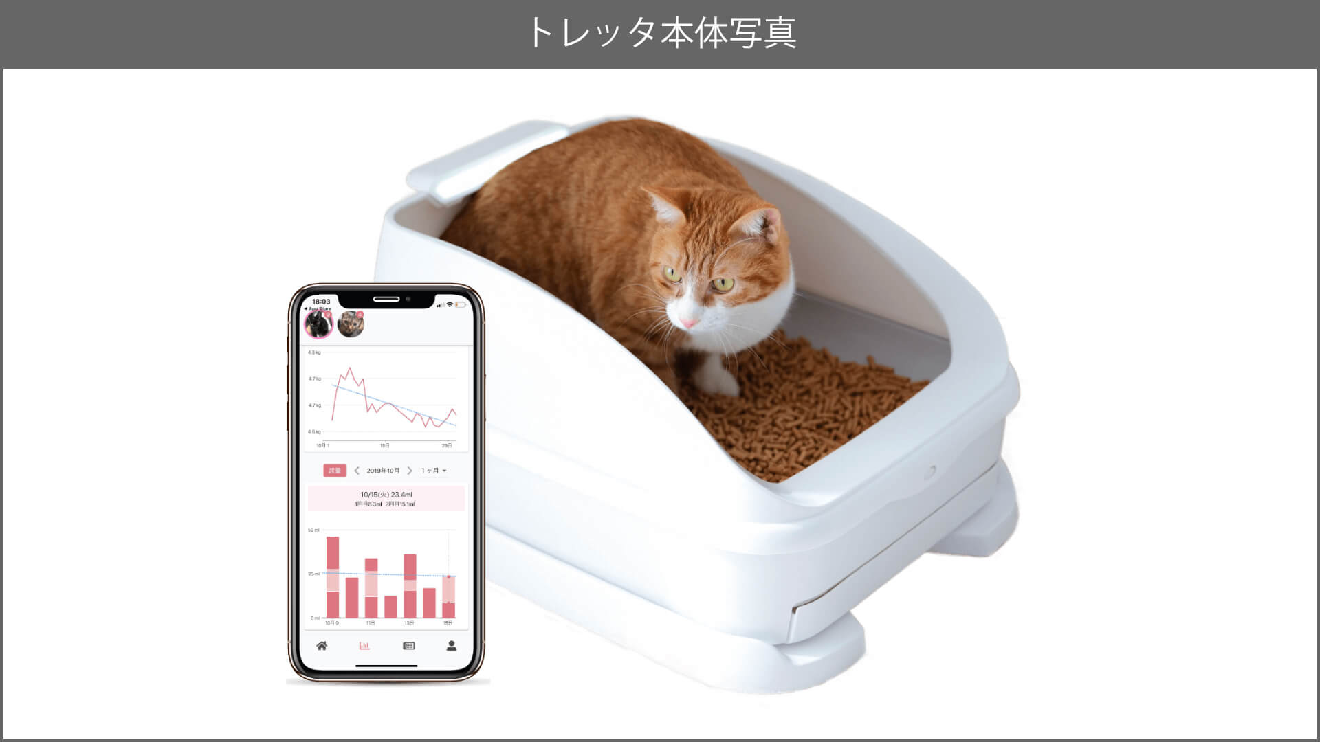 ねこIoTトイレ「toletta」のトレッタキャッツが月額798円の新プランを提供開始