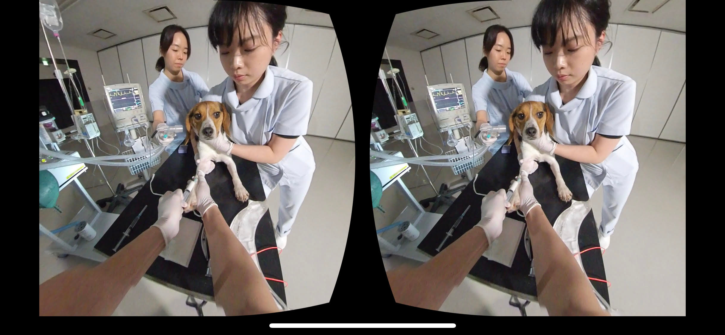 麻布大学が獣医学系で国内初のVR活用教育を開始、獣医外科学実習の授業に採用