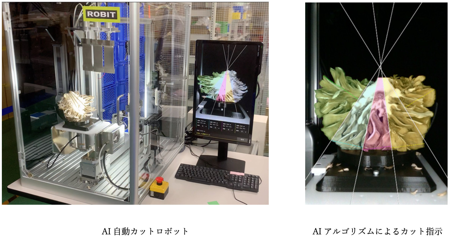 ロビットが「雪国まいたけ」のまいたけカット工程自動化開発に成功、次世代パッケージングライン開発に合意