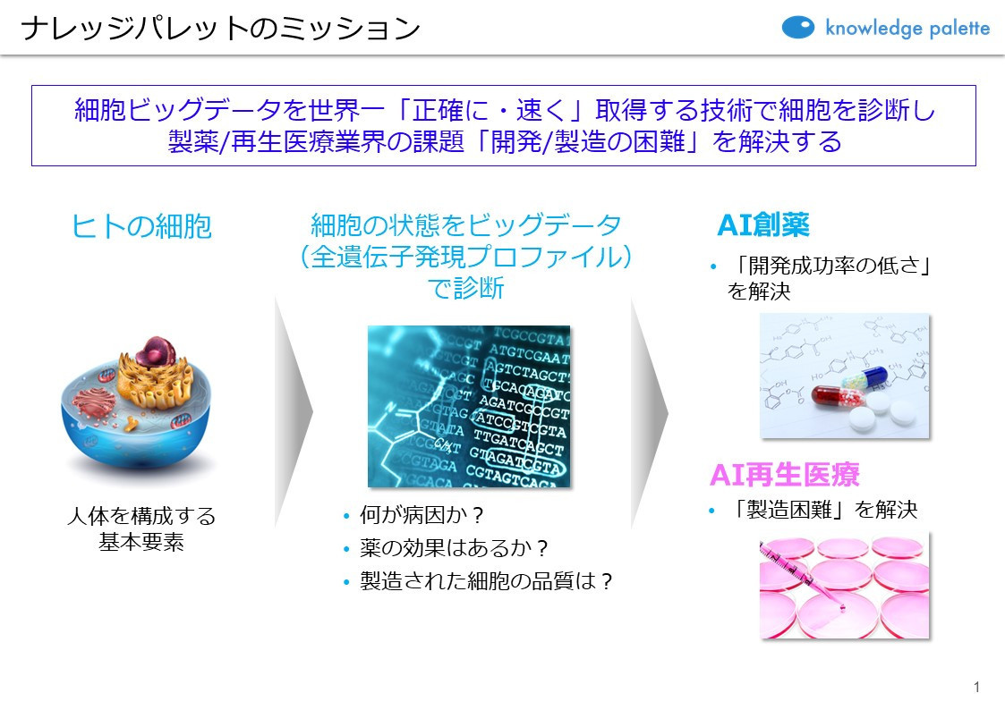 AI創薬・AI再生医療スタートアップ「ナレッジパレット」が創薬・再生医療領域の停滞を吹き飛ばす