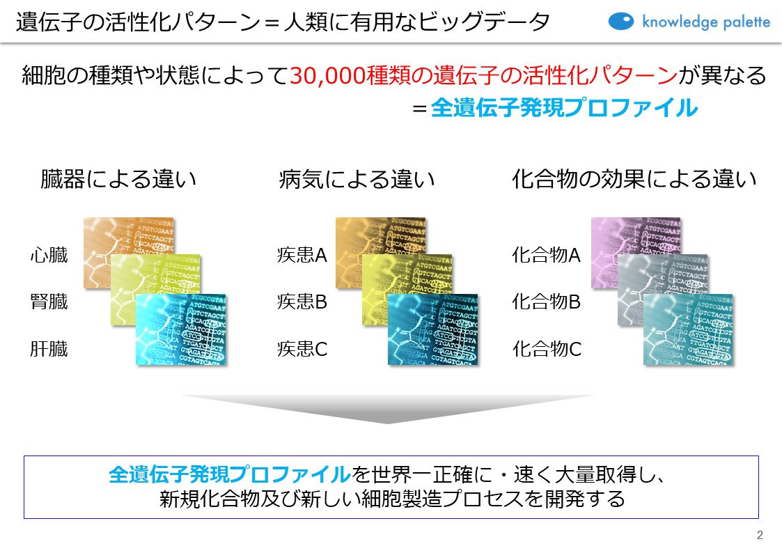 AI創薬・AI再生医療スタートアップ「ナレッジパレット」が創薬・再生医療領域の停滞を吹き飛ばす