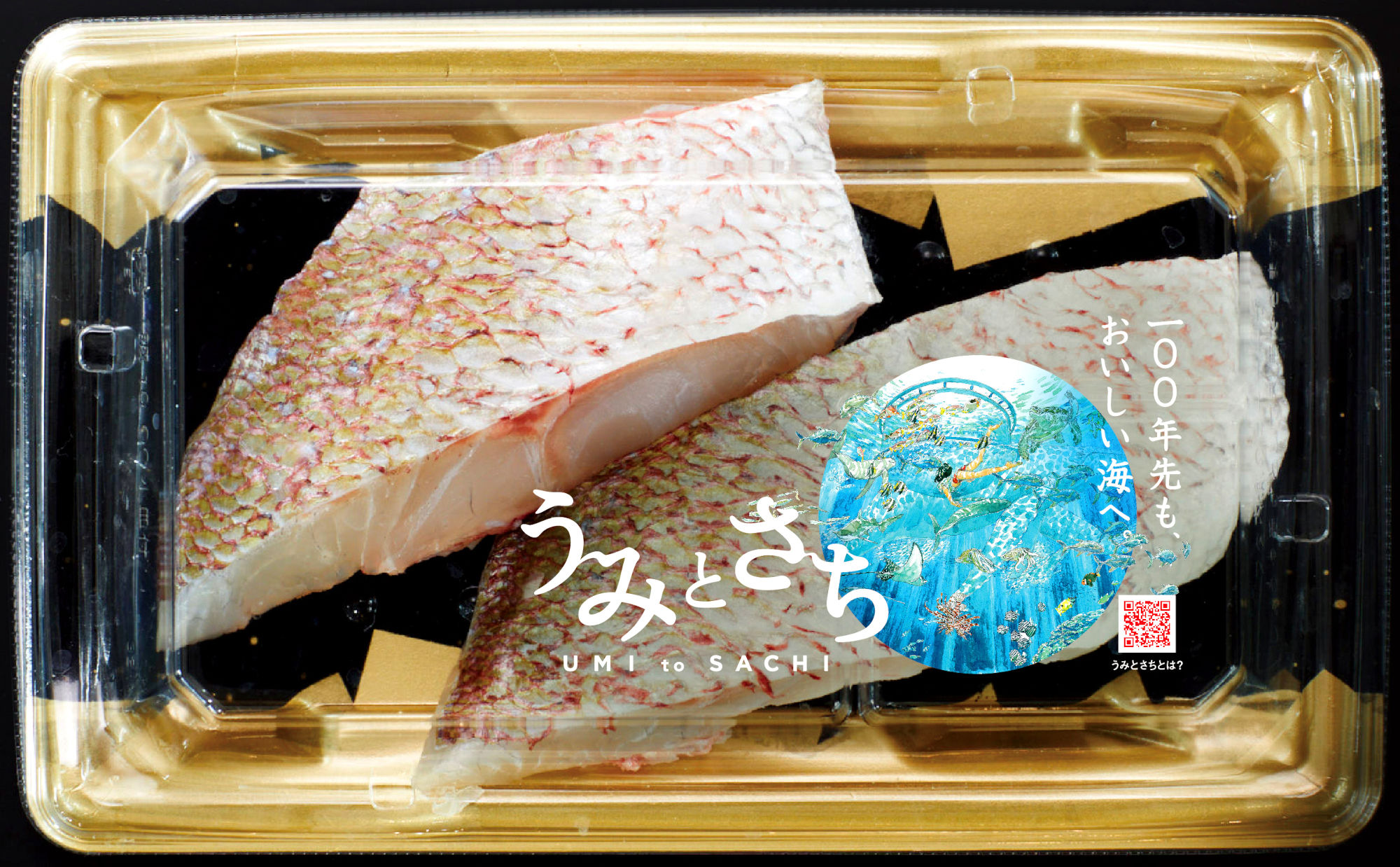 持続可能な水産養殖を支援するウミトロンとイオンがこだわりの養殖魚「うみとさち」を7月22日の「海の日」から実証販売